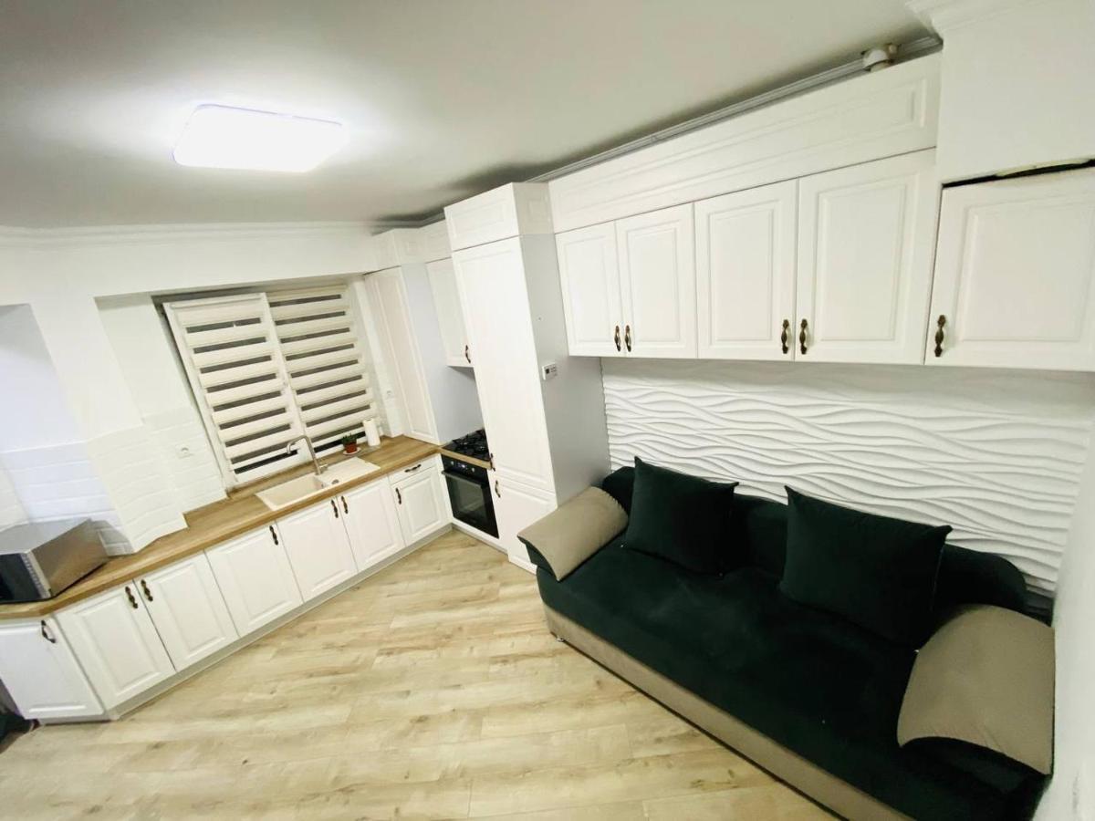 Central Eco View Apartment キシナウ エクステリア 写真