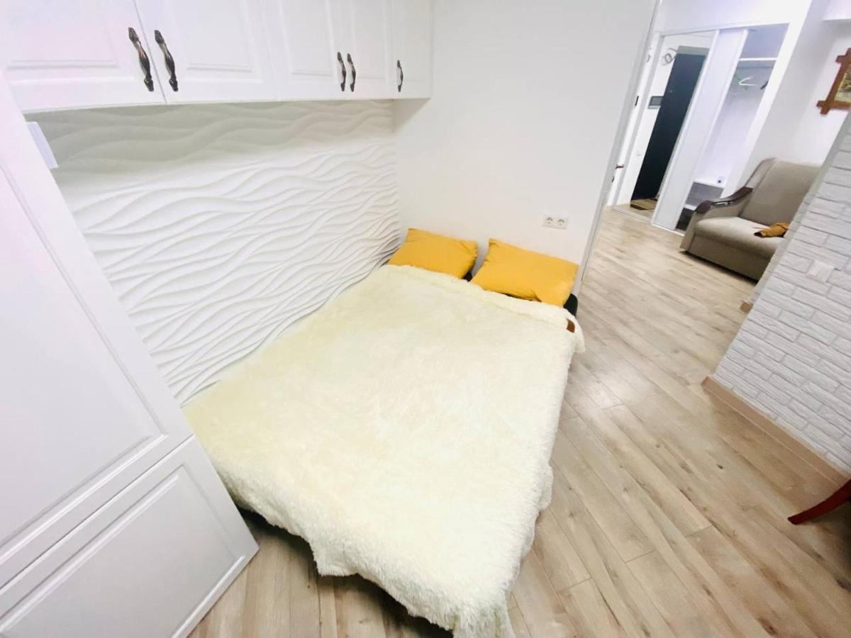 Central Eco View Apartment キシナウ エクステリア 写真